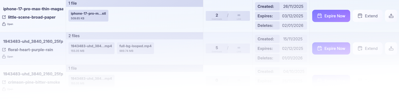 Dashboard showing file shares with download counts and expiration dates