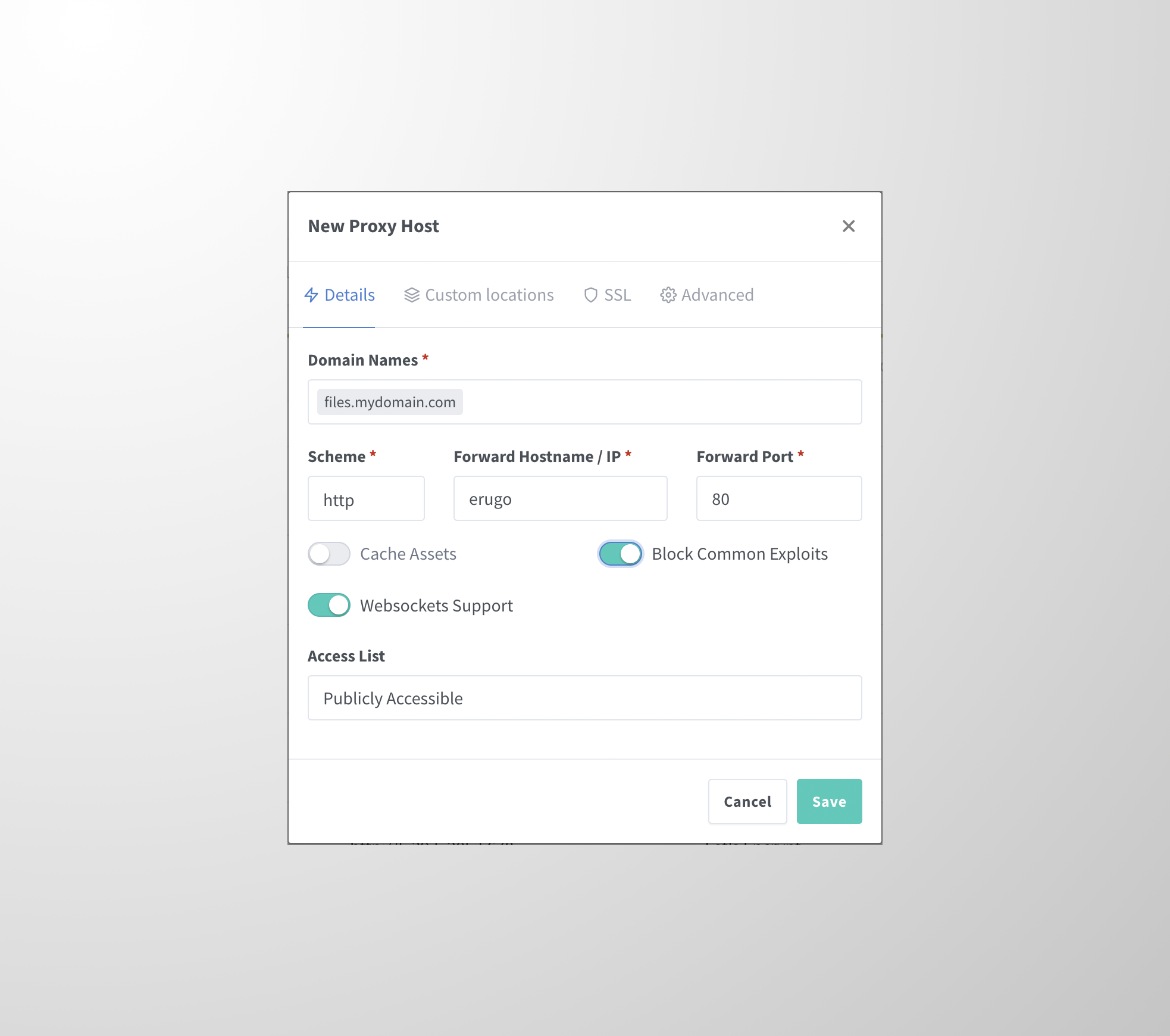 Nginx Proxy Manager proxy host configuration dialog showing domain, scheme, forward hostname, and port settings